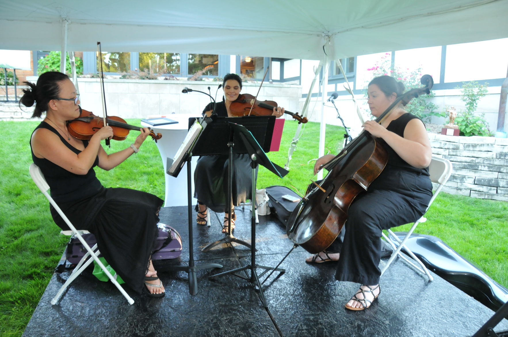Musicians